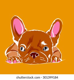 dog vector breed cute pet animal bulldog