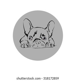 dog vector breed cute pet animal bulldog french