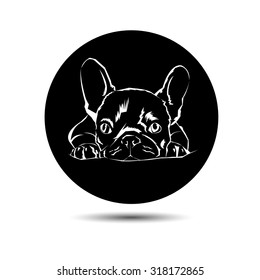 dog vector breed cute pet animal bulldog french