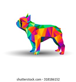 dog vector breed cute pet animal bulldog