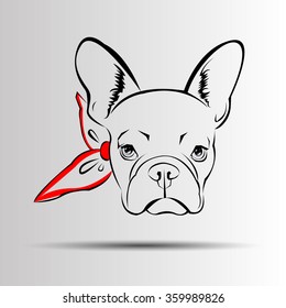 dog vector breed cute pet animal bulldog french