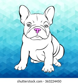 dog vector breed cute pet animal bulldog french