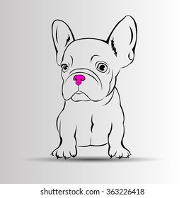 dog vector breed cute pet animal bulldog french