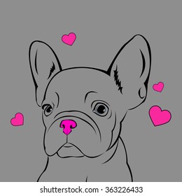dog vector breed cute pet animal bulldog french