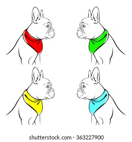 dog vector breed cute pet animal bulldog french