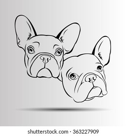 dog vector breed cute pet animal bulldog french