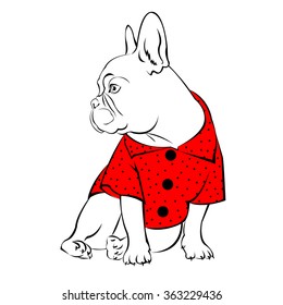 dog vector breed cute pet animal bulldog french