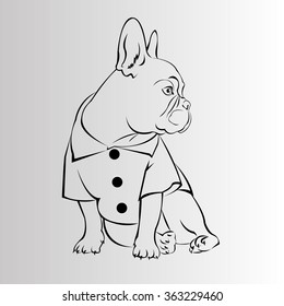 dog vector breed cute pet animal bulldog french