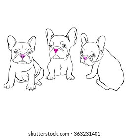 dog vector breed cute pet animal bulldog french