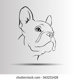 dog vector breed cute pet animal bulldog french