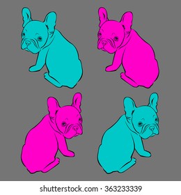 dog vector breed cute pet animal bulldog french