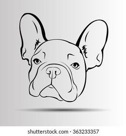 dog vector breed cute pet animal bulldog french