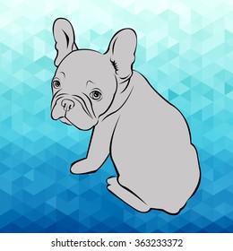 dog vector breed cute pet animal bulldog french