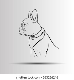 dog vector breed cute pet animal bulldog french