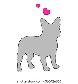dog vector breed cute pet animal bulldog french