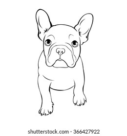 Chihuahua Sketch Hand Drawn On White Stock Vector (Royalty Free ...