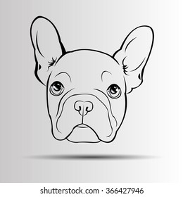 dog vector breed cute pet animal bulldog french