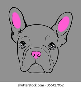 dog vector breed cute pet animal bulldog french