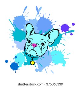 dog vector breed cute pet animal bulldog french