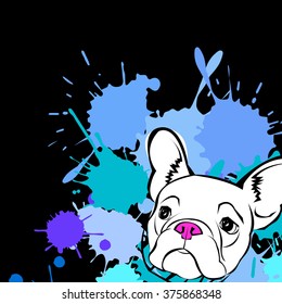 dog vector breed cute pet animal bulldog french