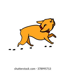 dog vector breed cute pet animal bulldog french