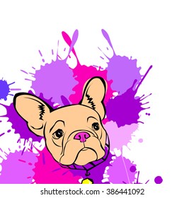 dog vector breed cute pet animal bulldog french