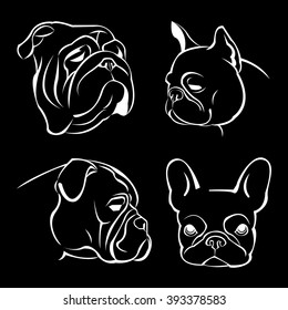 dog vector breed cute pet animal bulldog french
