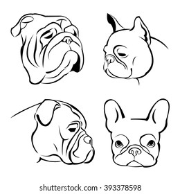 dog vector breed cute pet animal bulldog french