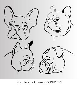 dog vector breed cute pet animal bulldog french