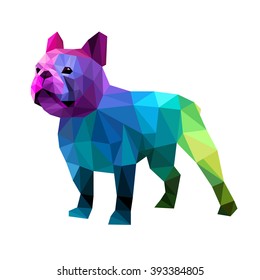 dog vector breed cute pet animal bulldog french