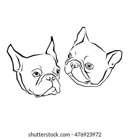 dog vector breed cute pet animal bulldog french
