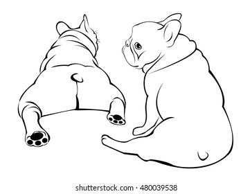 dog, vector, breed, cute, pet, animal, bulldog, french