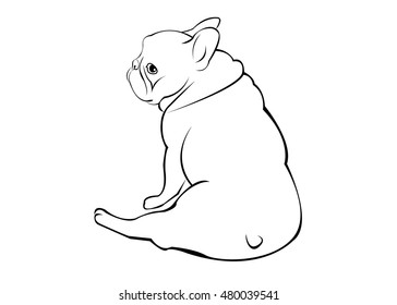 dog, vector, breed, cute, pet, animal, bulldog, french