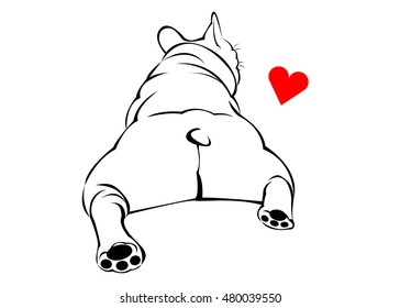 dog, vector, breed, cute, pet, animal, bulldog, french