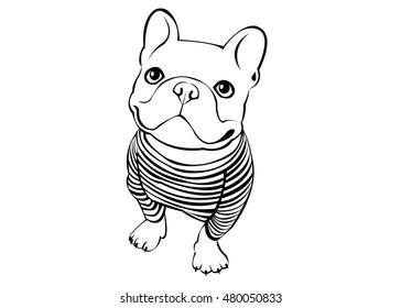 dog, vector, breed, cute, pet, animal, bulldog, french