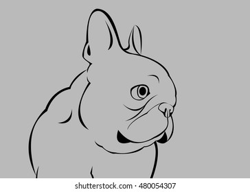 dog, vector, breed, cute, pet, animal, bulldog, french
