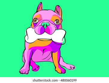 dog, vector, breed, cute, pet, animal, bulldog, french