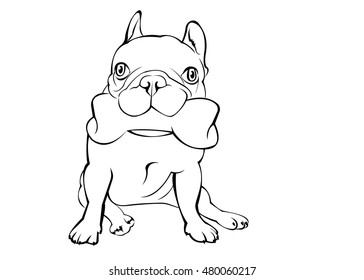 dog, vector, breed, cute, pet, animal, bulldog, french
