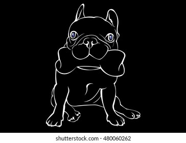 dog, vector, breed, cute, pet, animal, bulldog, french