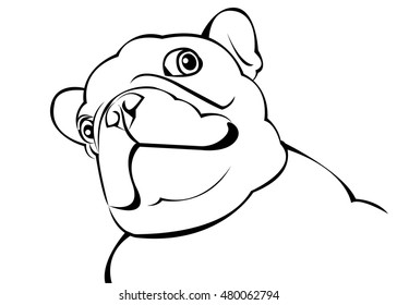 dog, vector, breed, cute, pet, animal, bulldog, french