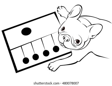 dog, vector, breed, cute, pet, animal, bulldog, french
