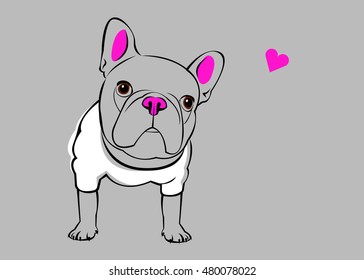 dog, vector, breed, cute, pet, animal, bulldog, french