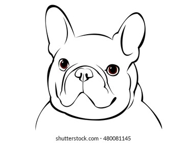 dog, vector, breed, cute, pet, animal, bulldog, french