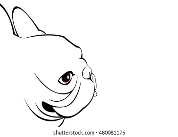 dog, vector, breed, cute, pet, animal, bulldog, french