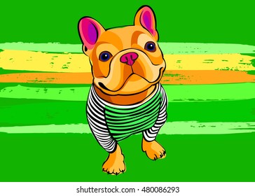 dog, vector, breed, cute, pet, animal, bulldog, french