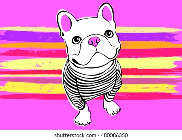 dog, vector, breed, cute, pet, animal, bulldog, french