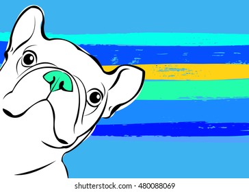 dog, vector, breed, cute, pet, animal, bulldog, french