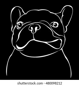 dog, vector, breed, cute, pet, animal, bulldog, french