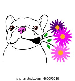 dog, vector, breed, cute, pet, animal, bulldog, french