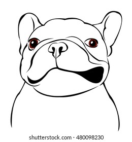 dog, vector, breed, cute, pet, animal, bulldog, french